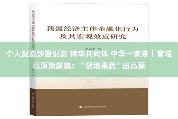 个人配资炒股配资 铸牢共同体 中华一家亲丨雪域高原焕新貌：“极地果蔬”出高原