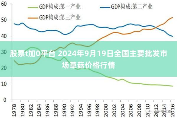 股票t加0平台 2024年9月19日全国主要批发市场草菇价格行情