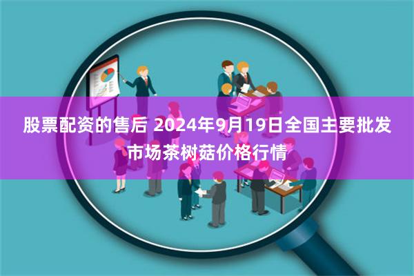 股票配资的售后 2024年9月19日全国主要批发市场茶树菇价格行情