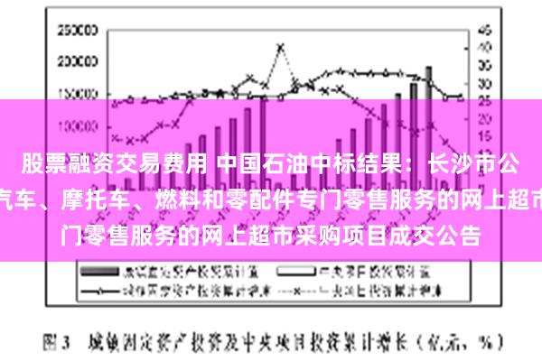 股票融资交易费用 中国石油中标结果：长沙市公安局望城分局关于汽车、摩托车、燃料和零配件专门零售服务的网上超市采购项目成交公告