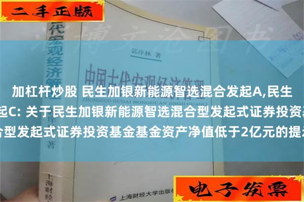 加杠杆炒股 民生加银新能源智选混合发起A,民生加银新能源智选混合发起C: 关于民生加银新能源智选混合型发起式证券投资基金基金资产净值低于2亿元的提示性公告