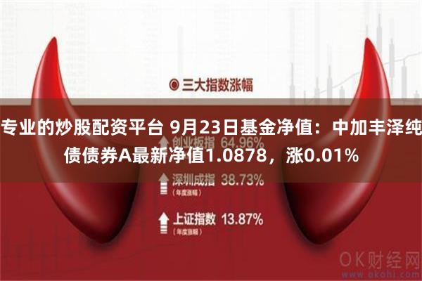 专业的炒股配资平台 9月23日基金净值：中加丰泽纯债债券A最新净值1.0878，涨0.01%