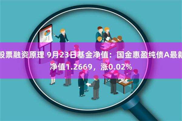 股票融资原理 9月23日基金净值：国金惠盈纯债A最新净值1.2669，涨0.02%