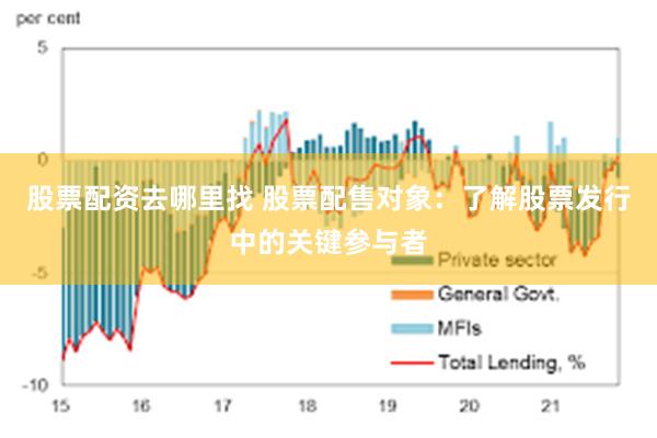 股票配资去哪里找 股票配售对象：了解股票发行中的关键参与者