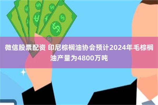 微信股票配资 印尼棕榈油协会预计2024年毛棕榈油产量为4800万吨