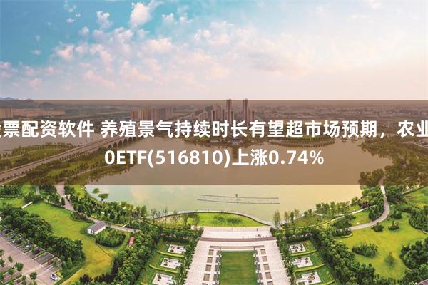 股票配资软件 养殖景气持续时长有望超市场预期，农业50ETF(516810)上涨0.74%