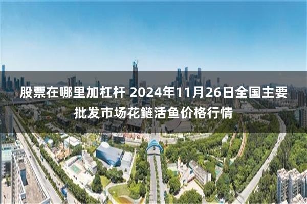 股票在哪里加杠杆 2024年11月26日全国主要批发市场花鲢活鱼价格行情