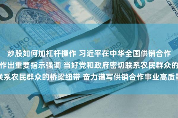 炒股如何加杠杆操作 习近平在中华全国供销合作总社成立70周年之际作出重要指示强调 当好党和政府密切联系农民群众的桥梁纽带 奋力谱写供销合作事业高质量发展新篇章