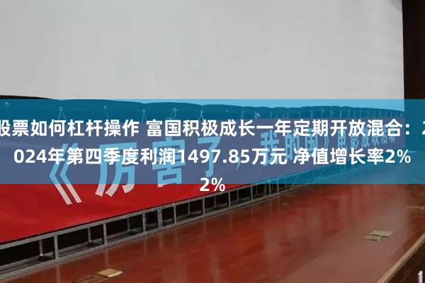 股票如何杠杆操作 富国积极成长一年定期开放混合：2024年第四季度利润1497.85万元 净值增长率2%