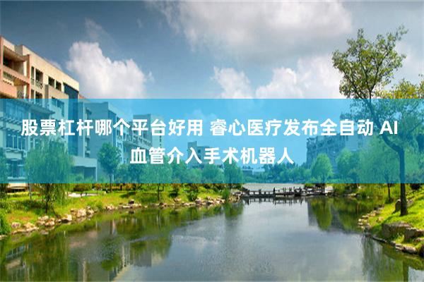 股票杠杆哪个平台好用 睿心医疗发布全自动 AI 血管介入手术机器人