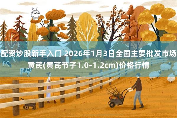 配资炒股新手入门 2026年1月3日全国主要批发市场黄芪(黄芪节子1.0-1.2cm)价格行情